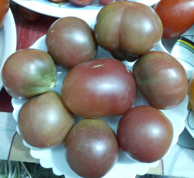 Винный кувшин (Wine Jug) - В — сорта томатов - tomat-pomidor.com - отзывына форуме
