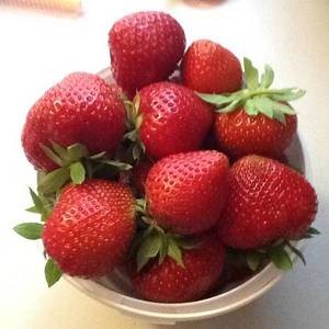3qqQq5OdkMc.thumb.jpg.38d9c34c8f4a2cfeccfd70ed30f26dc9.jpg