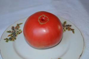 96248179_i(3).thumb.jpg.396b694aebe41ff82a1c23f6aec67d8b.jpg