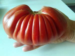 IMG_20190823_114013.thumb.jpg.4149bcc31bf1431aa5fdcdf2baf95600.jpg