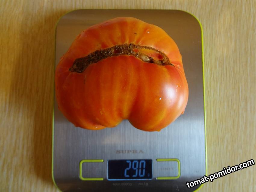 Халилис вес17.09.2019у.jpg