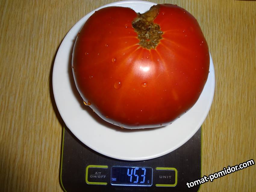 Мой вес 19.08.19у.jpg