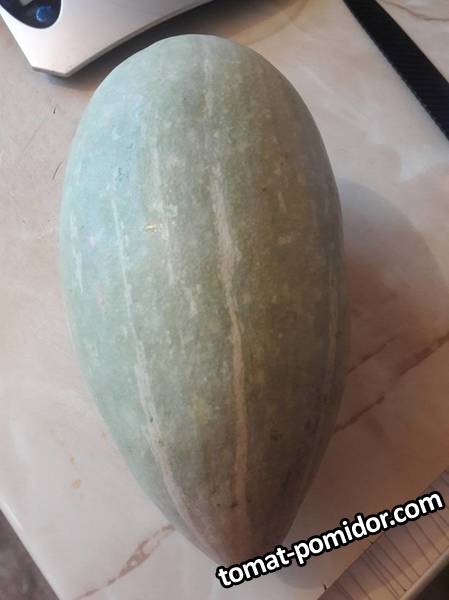 20191206_080220.jpg