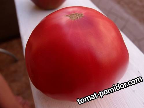 Large Mennonite Heirloom (Меннонитов длинный фамильный)