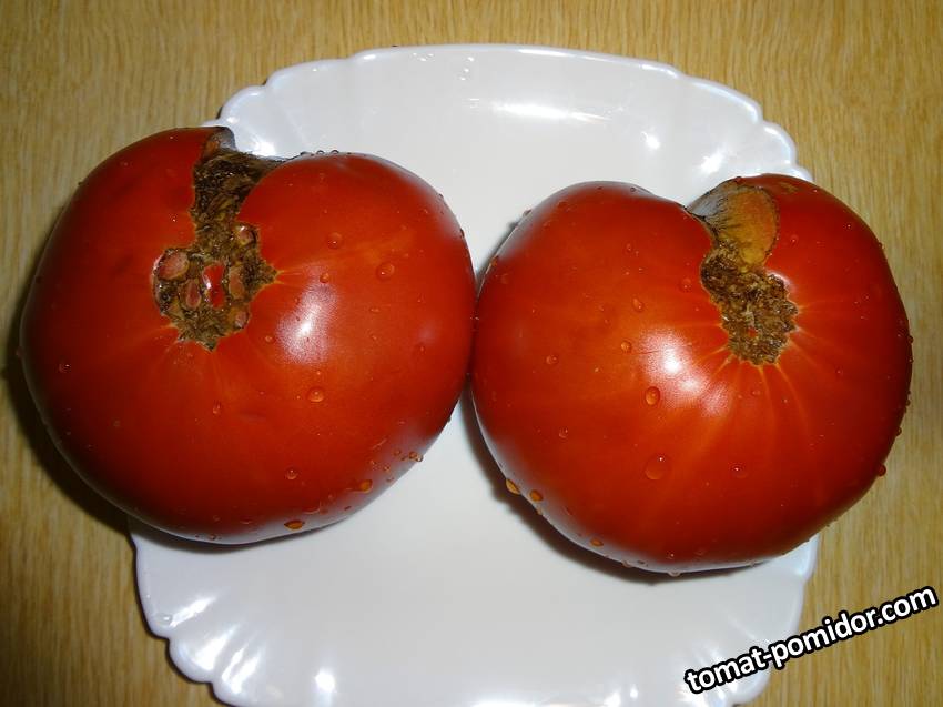 Мой 19.08.19у.jpg