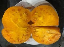 Sweet Ozark Orange в разрезе