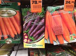 Цветная морковь в Оби.