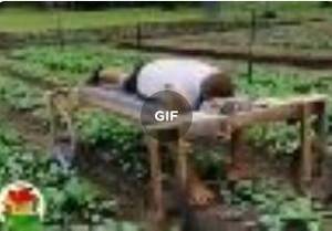 Сохраненное изображение 2020-1-19_13-32-48.294.jpg