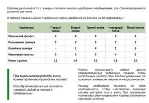 подкормка рассады томата.jpg