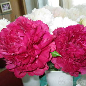 Джун Бриллиант.jpg