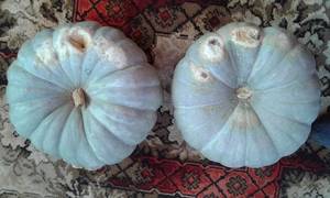 20191026_075148.jpg