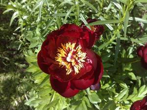 050620111211 (Копировать).jpg