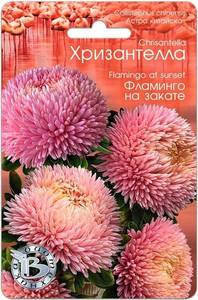 8CDF0144-71FD-4F71-AB3E-B95A93C1F0EF.thumb.jpg.8c4989be3da4db3b1e6385b45aa278b2.jpg