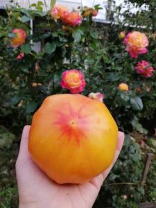 IMG_20190924_135939.jpg