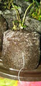 IMG_20200111_093405.jpg