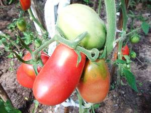 IMG_20200127_211111.jpg