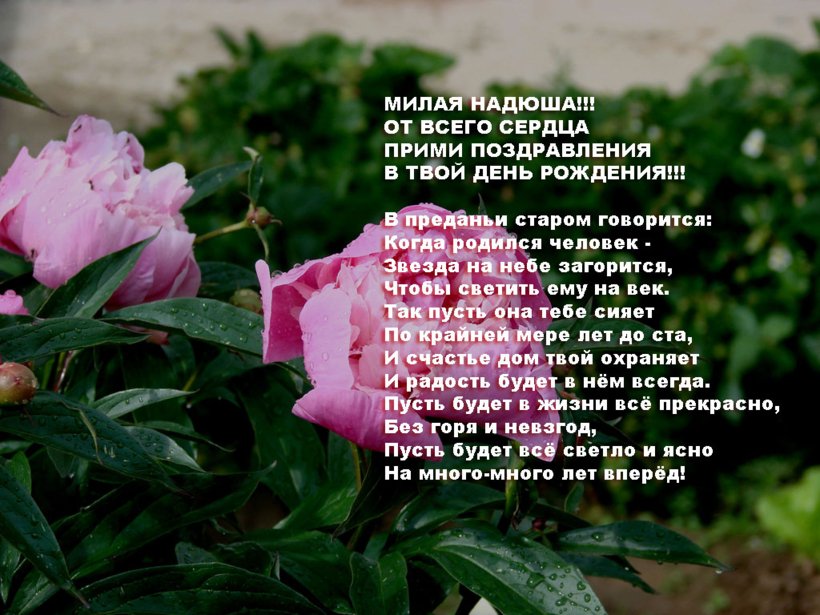 Картинки надюша. Поздравление надежде. Поздрвления с днём рождения для надежды