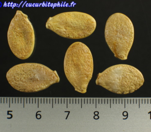 image.thumb.png.1ac42bb2eed519ef53f39f5f166306de.png