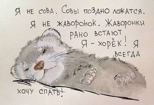 jbWy8HQ0OL8.thumb.jpg.35d62bc5f69f078038fc58e78b0d1331.jpg