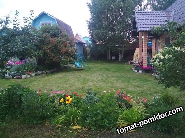 IMG_20190730_204313.jpg