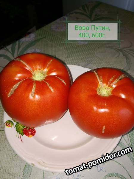 IMG_20190828_154735.jpg