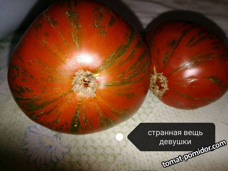 IMG_20190905_151238.jpg
