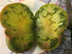 Зелёный из Астрахани в разрезе