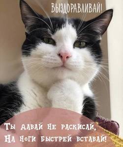 vyzdoravlivay2_happypik.ru_.thumb.jpg.bc6bbac135c98bdc3487b5c630a34a91.jpg