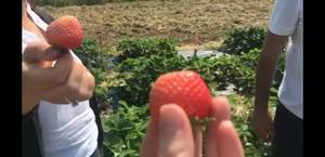 Screenshot_20200207-102740_Samsung Internet.jpg