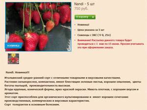 WhatsApp Image 2018-12-19 at 02.31.03.jpeg