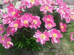 20180612_111322 (2).jpg