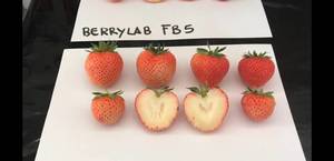 Screenshot_20200208-205747_Samsung Internet.jpg