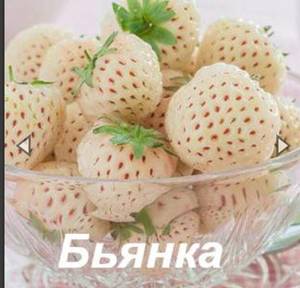 Screenshot_20200204-204225_Samsung Internet.jpg