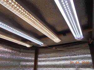 image.thumb.jpeg.d44944fc83c04577638d247eb5687776.jpeg