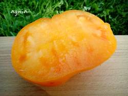 Amana Orange