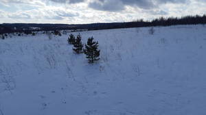20200301_124540.jpg