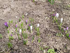 IMG_20200323_131921.jpg