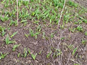 IMG_20200323_133535.jpg