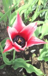 IMG_6936.JPG