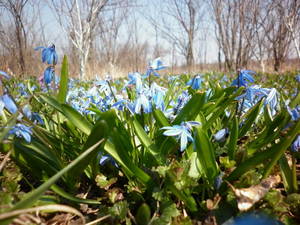 P1000155.thumb.JPG.e9712d88cbaee38737a8fb98c0140cb1.JPG