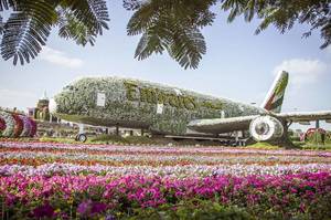 a380-blumen.thumb.jpg.d695329a7f8010939d4fa0925e1f1c53.jpg