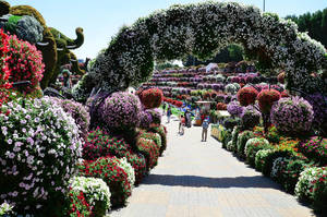 miracle-garden-ticket-1.thumb.jpg.95aedd56a72970cb031b7c5b44a95b1b.jpg