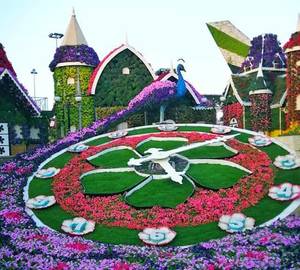 opening-date-renovation-dubai-miracle-garden.thumb.jpg.5d0f464ff5f0d46f5ead711dd4779c70.jpg