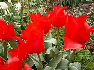2019-04-21_18-31-13_838.thumb.jpg.84352a193bd4de7065cd79d942423c79.jpg