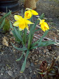 IMG_20200411_180643.jpg