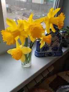 IMG_20200417_060728.jpg