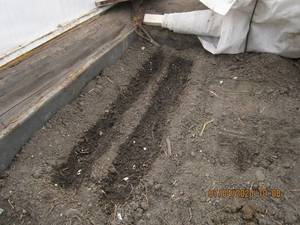 IMG_5524.thumb.JPG.d8dcf3e7b73cef5b98c368643fa8a0ea.JPG