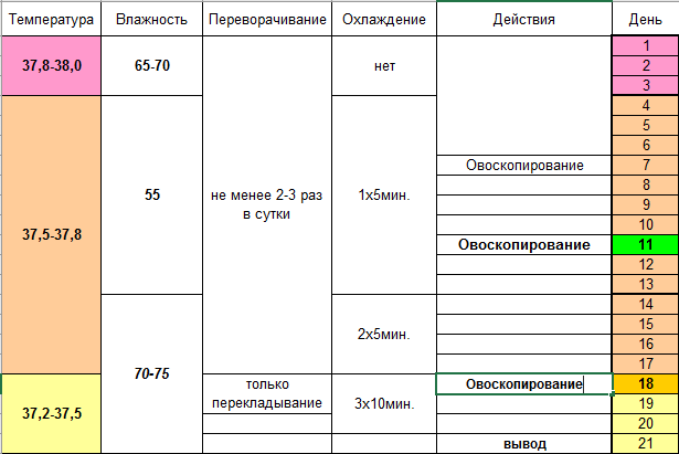 Инкубация утиных яиц в домашних условиях. Таблица инкубации матрица Дели. Схема инкубации гусиных яиц. Таблица инкубации куриных яиц. Режим инкубации яиц таблица.