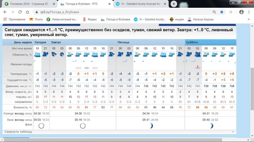 Погода в карпинске на рп5. Погода рп5. Рп5 Динская. Рп5 Можга. Рп5 Благовещенск.