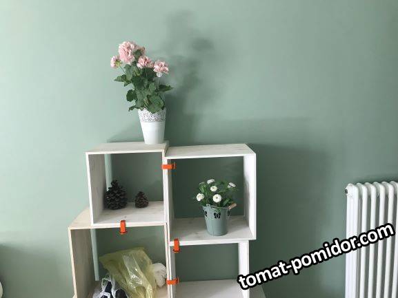 IMG_5373с.JPG